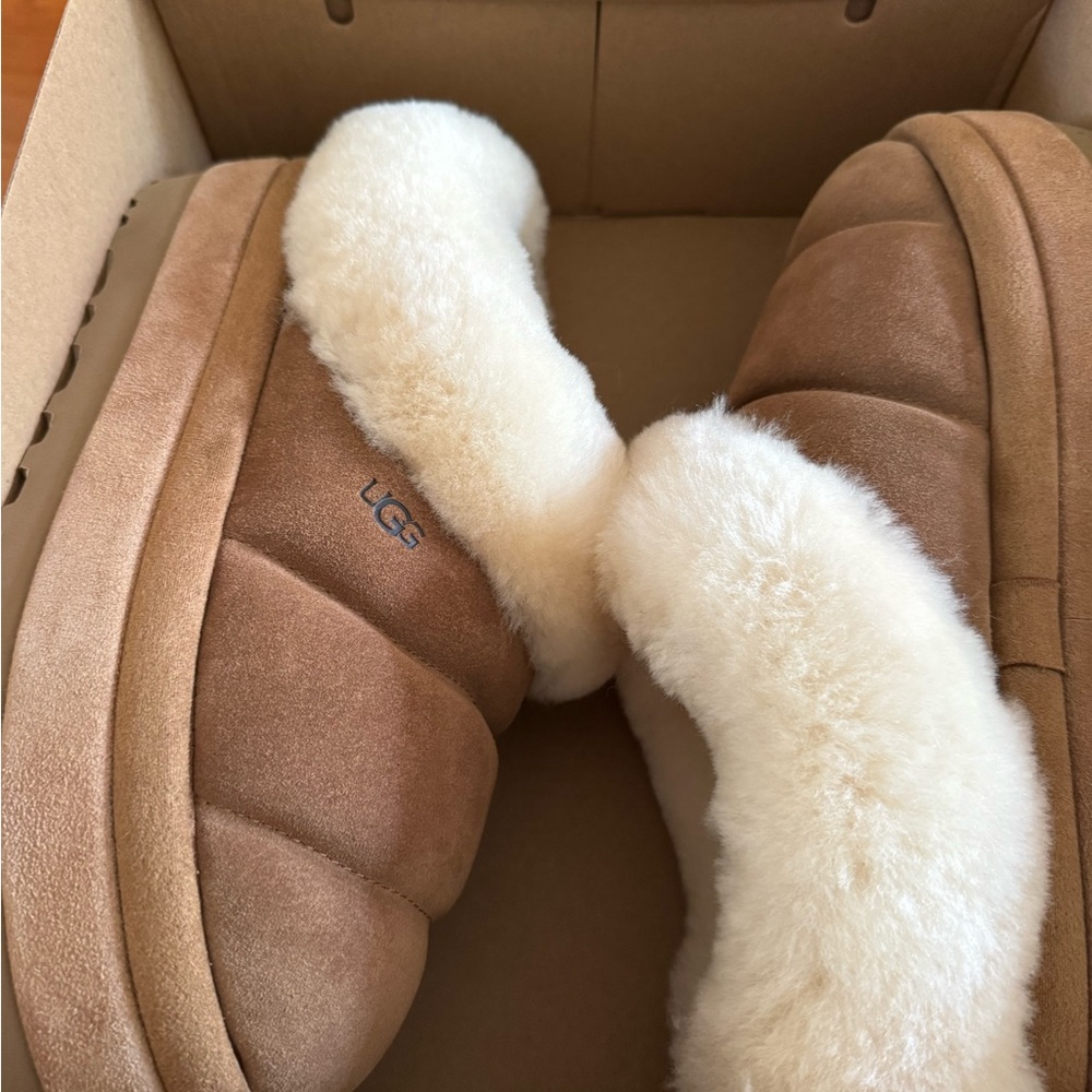UGG Tazzlita Shearling Boots (7) in Chesnut! NWT!!!!